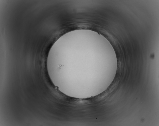 X0000103900379200809191101