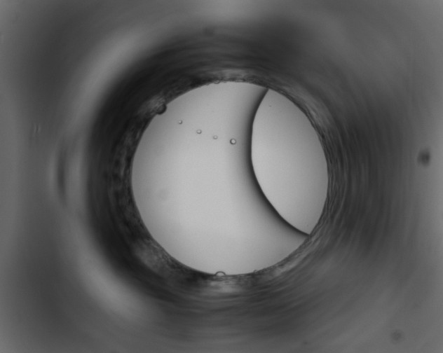 X0000103900381200809191101