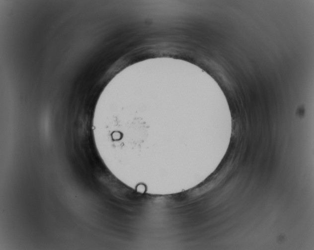 X0000103900382200809191101