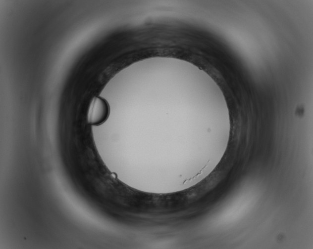 X0000103900383200809191101