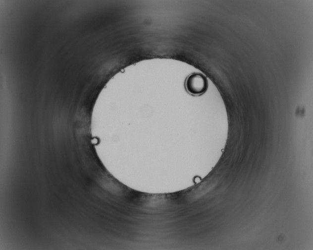 X0000103900384200809191101