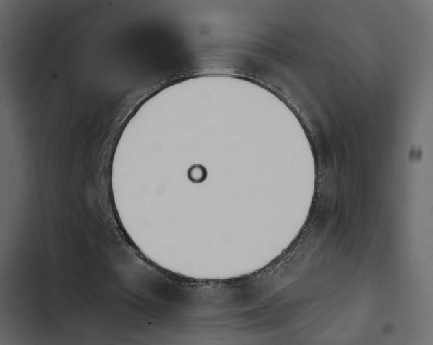 X0000103900385200809191100