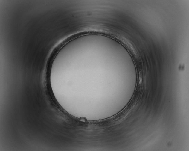 X0000103900388200809191100
