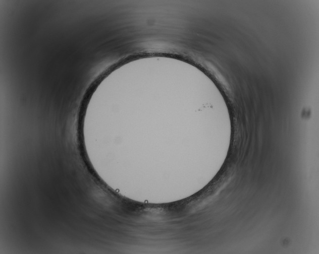X0000103900391200809191100