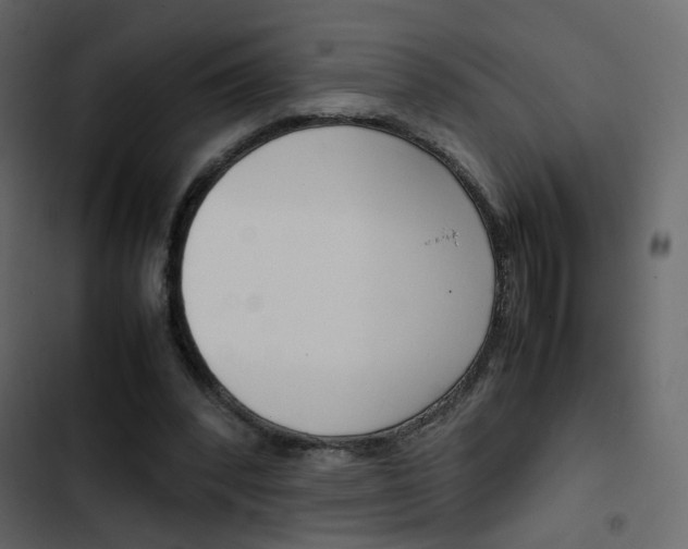 X0000103900392200809191100