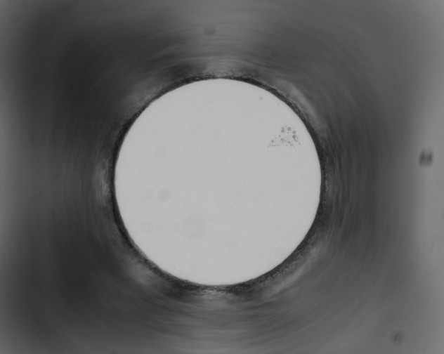 X0000103900393200809191100
