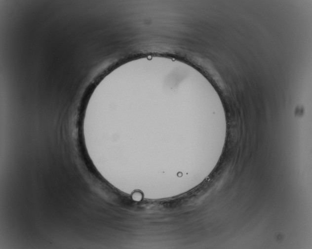 X0000103900395200809191100