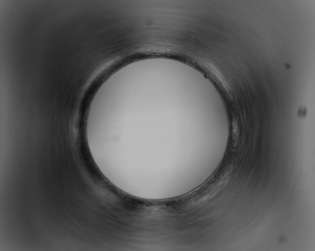 X0000103900396200809191100