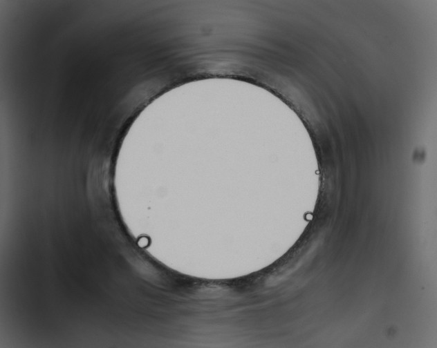 X0000103900397200809191100