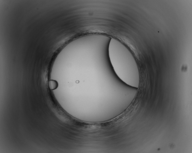 X0000103900398200809191100