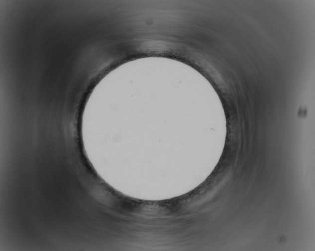 X0000103900399200809191100