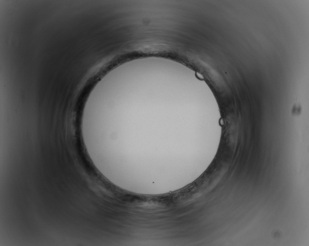 X0000103900400200809191100