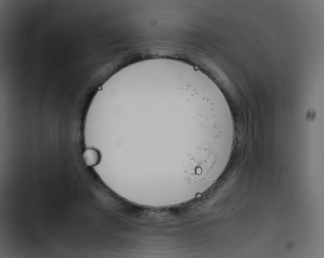 X0000103900401200809191100