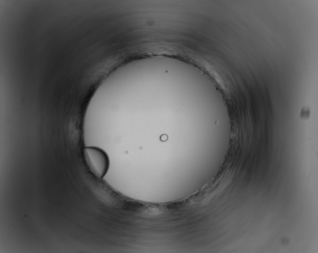 X0000103900402200809191100