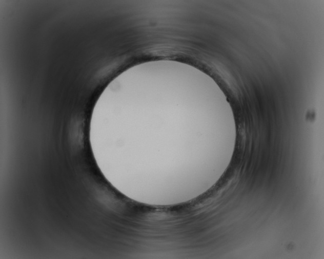 X0000103900404200809191100