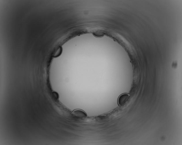 X0000103900405200809191100