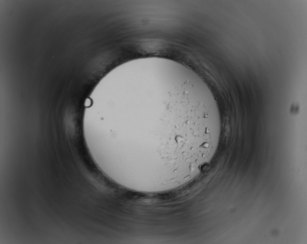 X0000103900408200809191100
