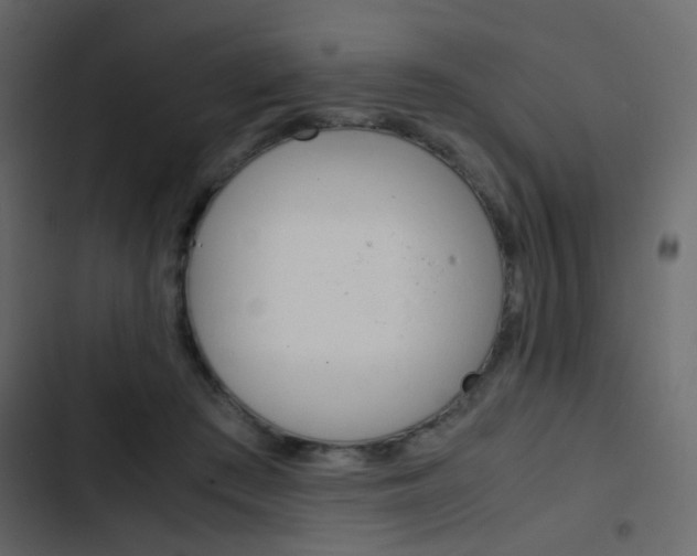 X0000103900409200809191100