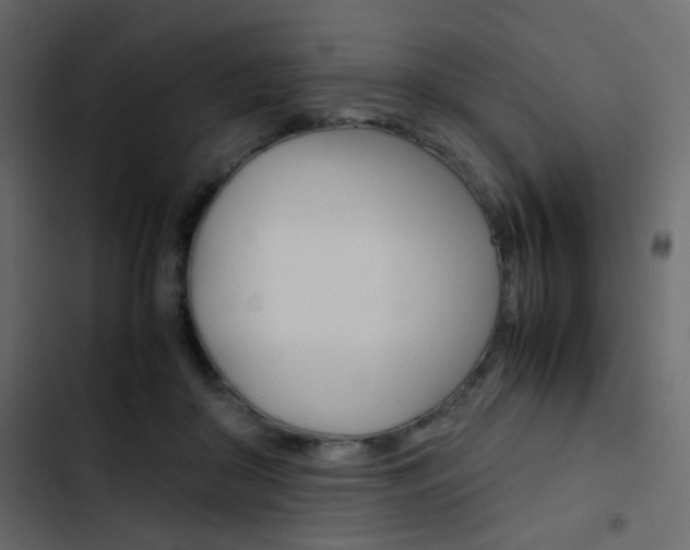 X0000103900410200809191100