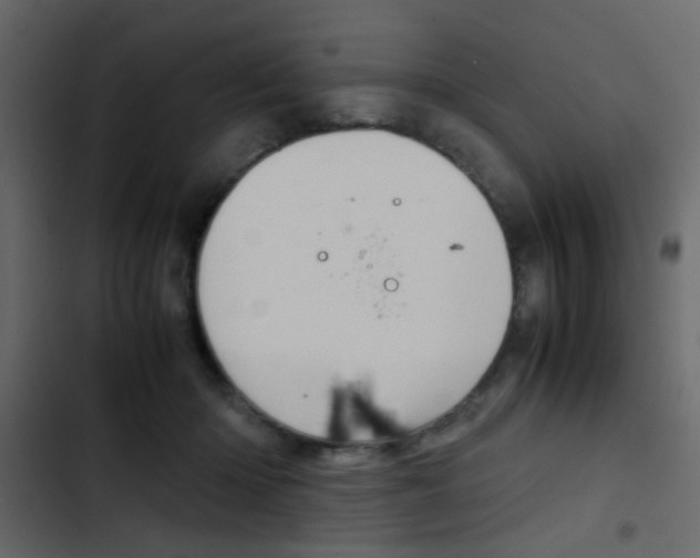 X0000103900414200809191100