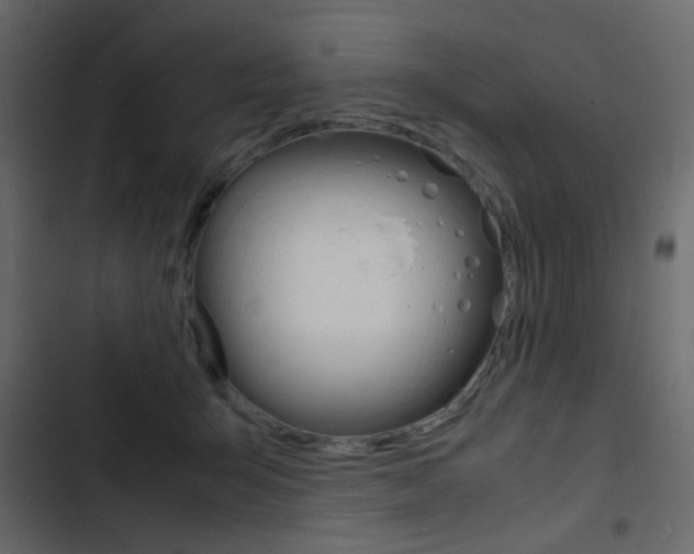 X0000103900415200809191100