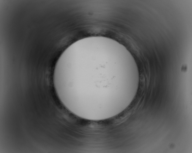 X0000103900416200809191100