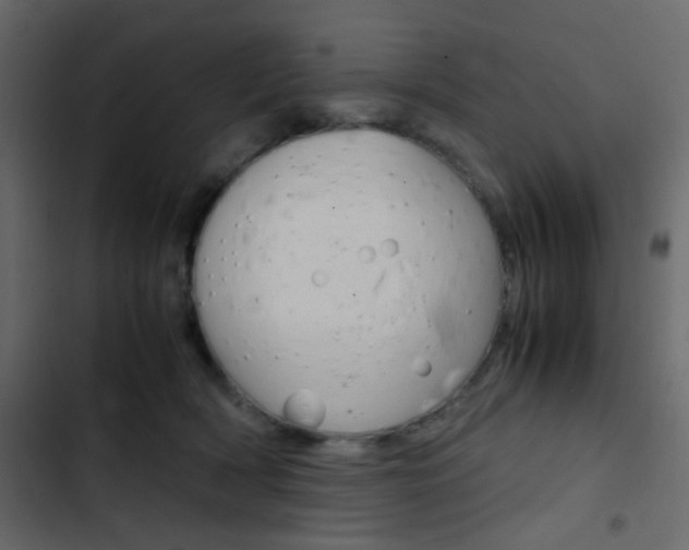 X0000103900418200809191100