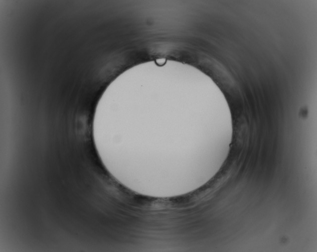 X0000103900420200809191100