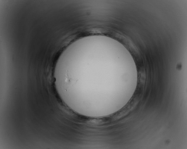 X0000103900422200809191100