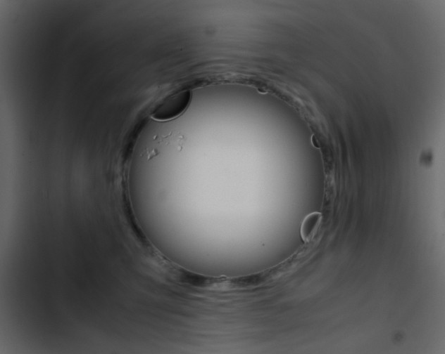 X0000103900423200809191100