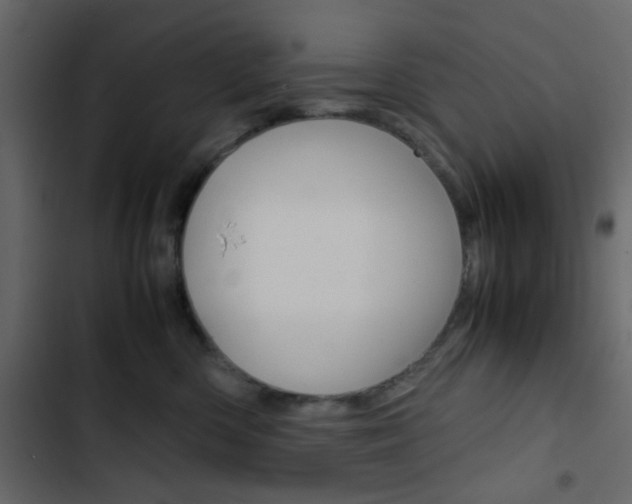 X0000103900426200809191100