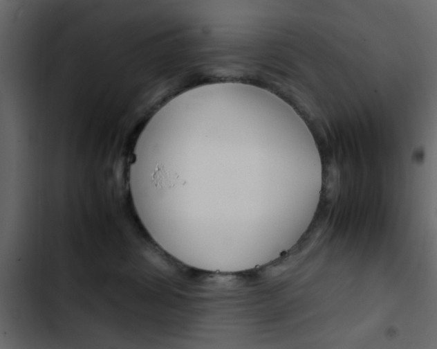 X0000103900428200809191100