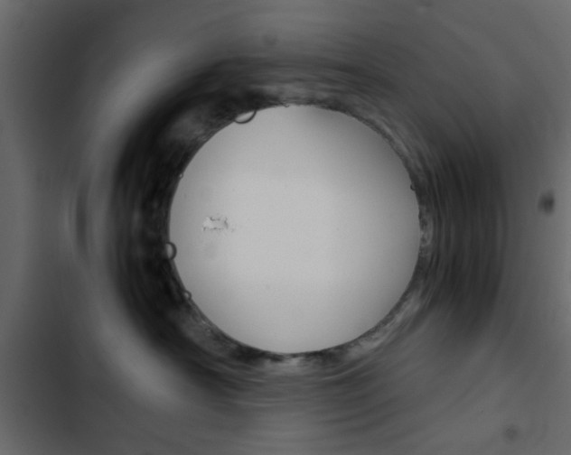 X0000103900430200809191059
