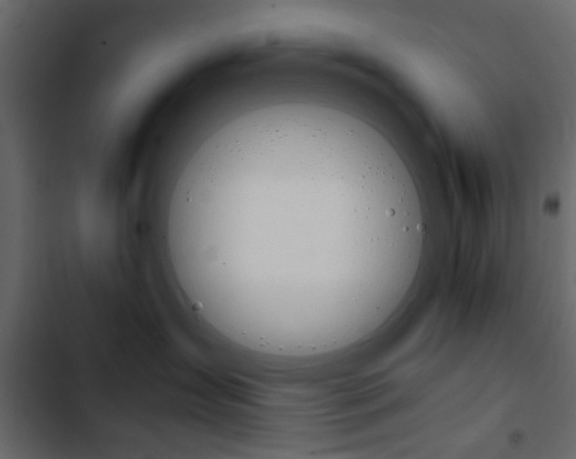 X0000103900431200809191059