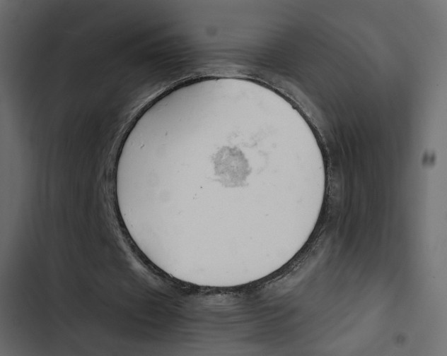 X0000103900433200809191059