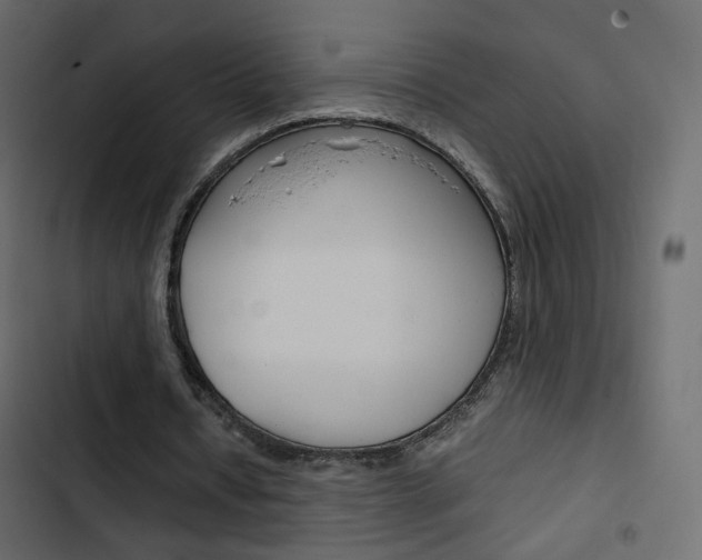 X0000103900434200809191059
