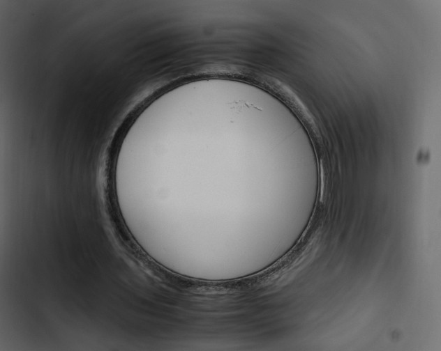 X0000103900435200809191059