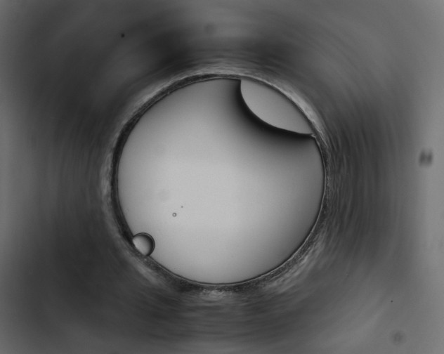 X0000103900437200809191059