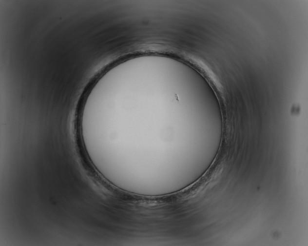 X0000103900439200809191059