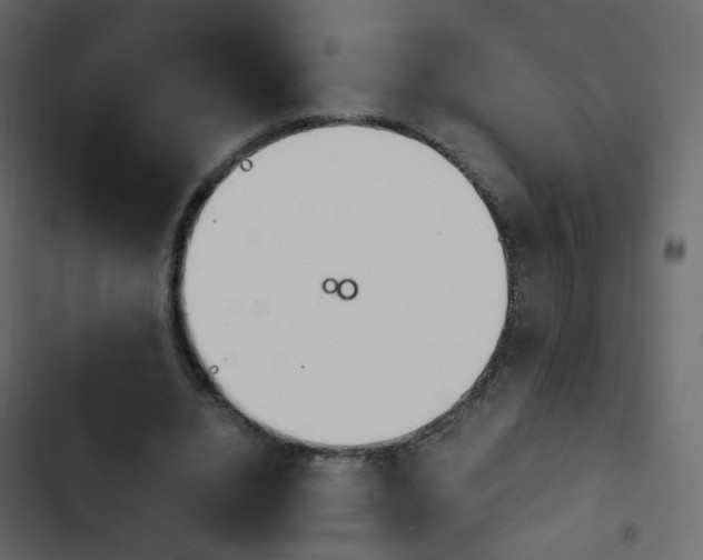 X0000103900440200809191059