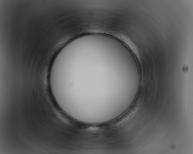 X0000103900441200809191059