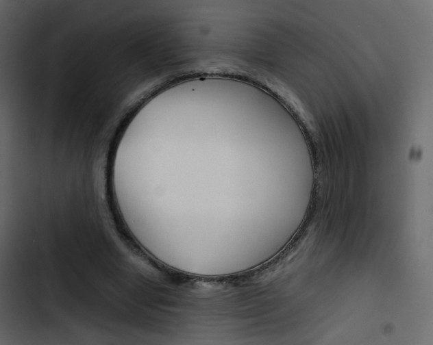 X0000103900442200809191059