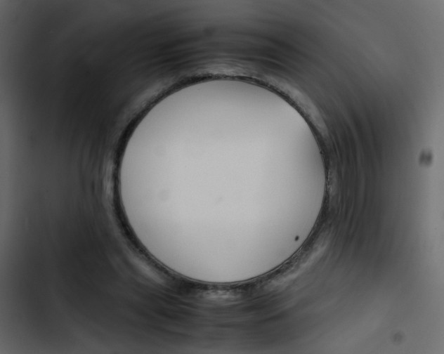 X0000103900445200809191059