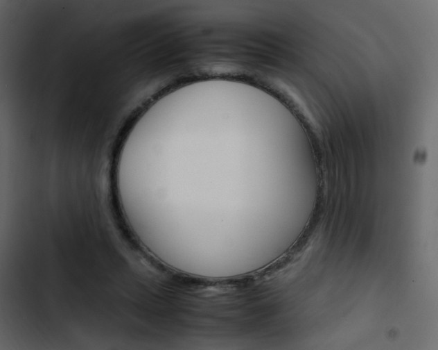 X0000103900447200809191059