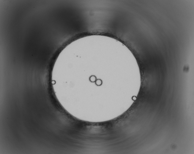 X0000103900448200809191059