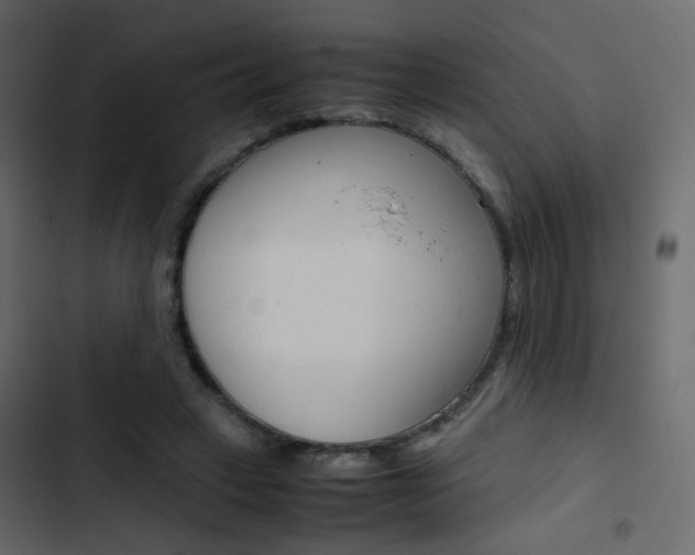 X0000103900449200809191059