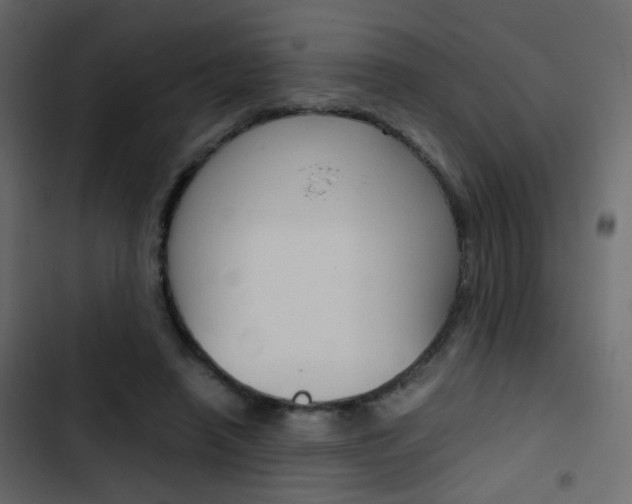 X0000103900450200809191059