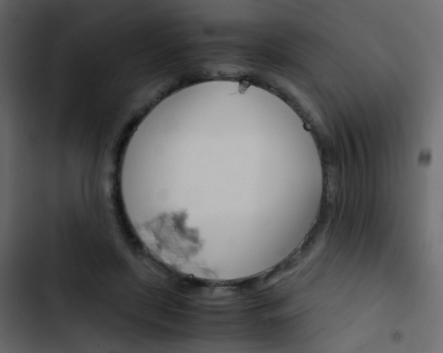 X0000103900451200809191059