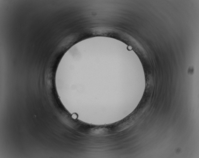 X0000103900452200809191059