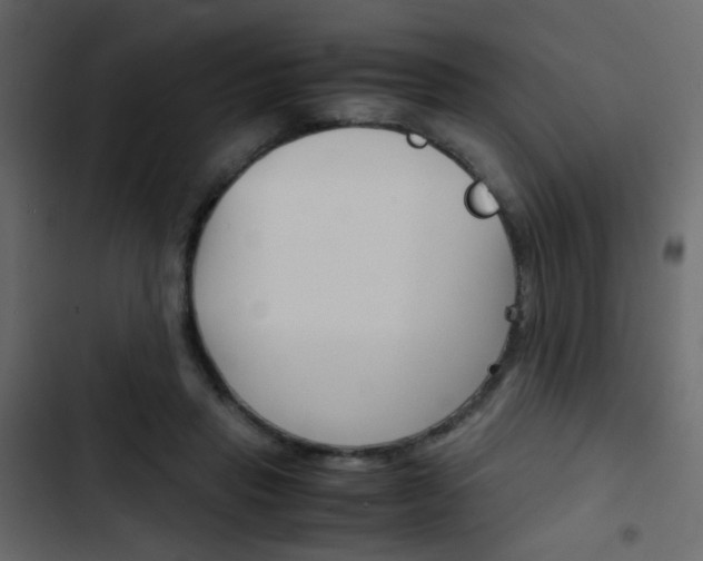 X0000103900453200809191059